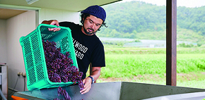 上山市久保手地区にあるワイナリー『ベルウッドヴィンヤード』のワインづくりとワイン達