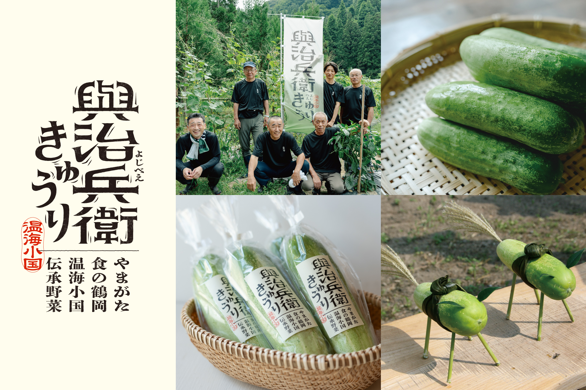 伝承野菜ブランディングデザイン/與治兵衛きゅうり保存会