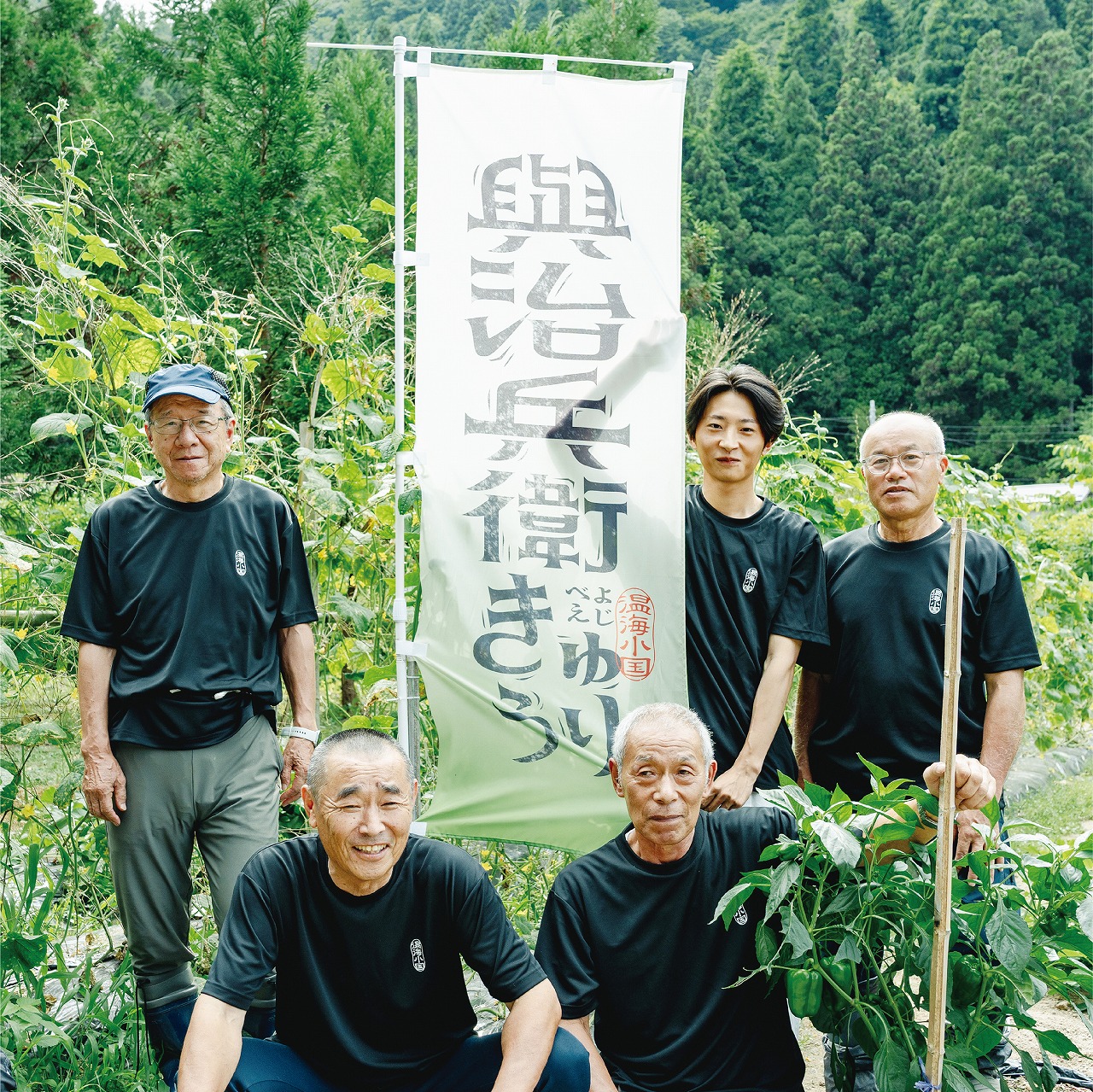 與治兵衛きゅうり