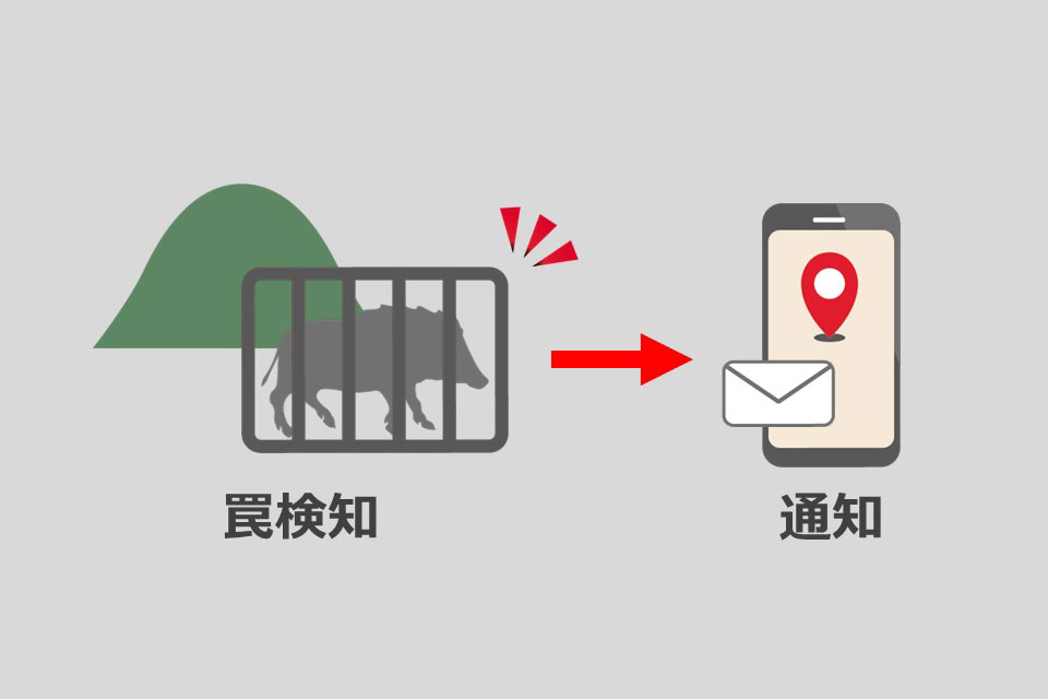 シカ・イノシシ・クマなどが罠にかかったらメールが届くシステム。全国で活用が進んでいる。（企業提供）