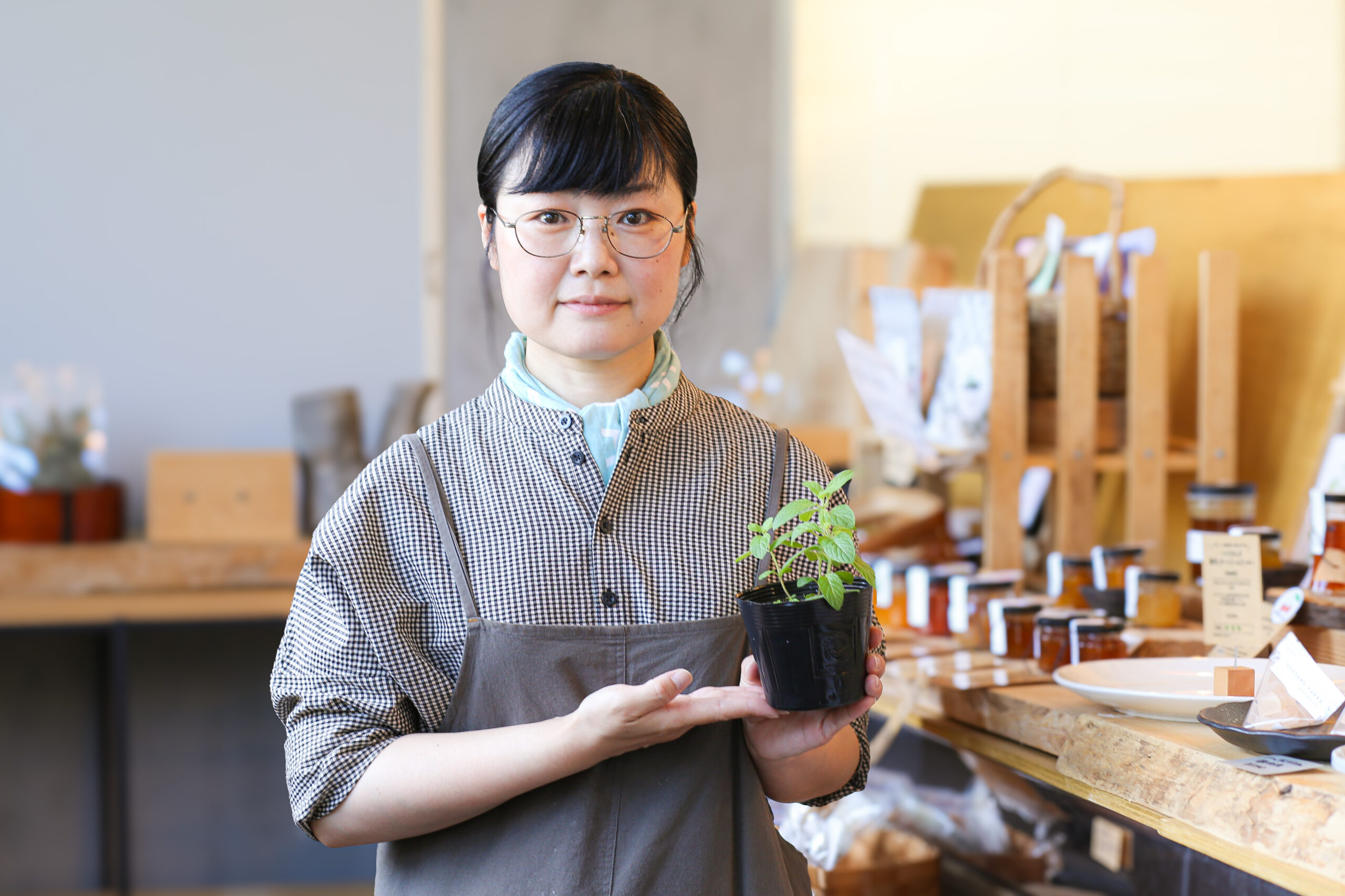 在来種の高擶薄荷を未来へつなげたい